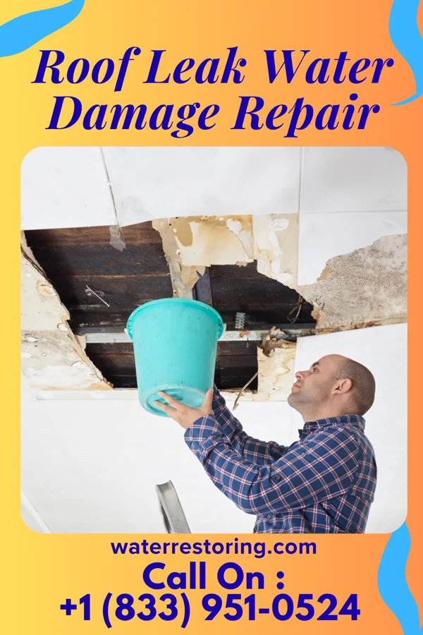 Roof Leak Water Damage Repair in Xenia, IL