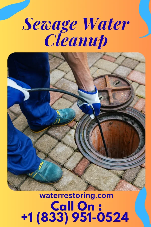 Sewage Water Cleanup in Xenia, IL